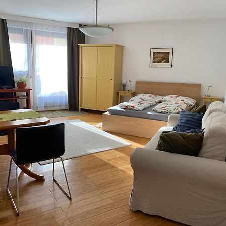 Apartment Grazbachgasse - Gratis Tiefgaragenplatz Ngoại thất bức ảnh